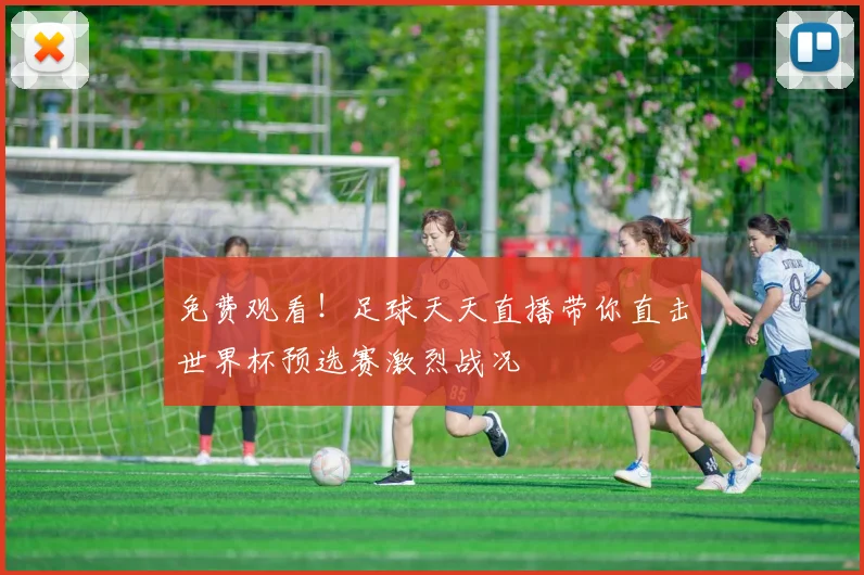 免费观看！足球天天直播带你直击世界杯预选赛激烈战况