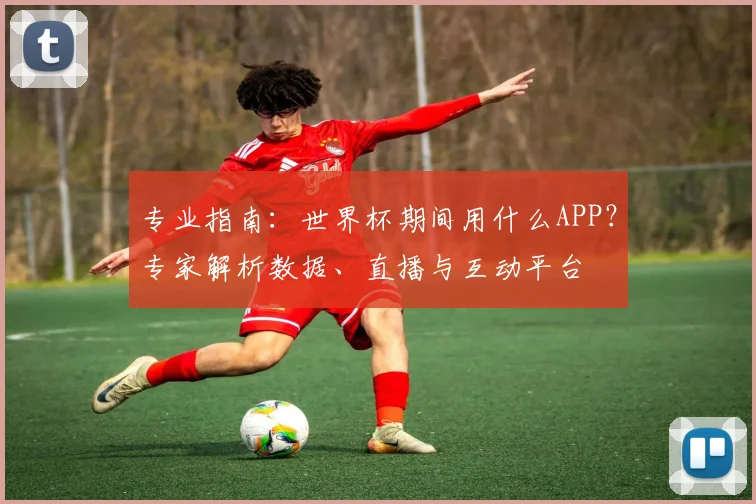 专业指南：世界杯期间用什么APP？专家解析数据、直播与互动平台