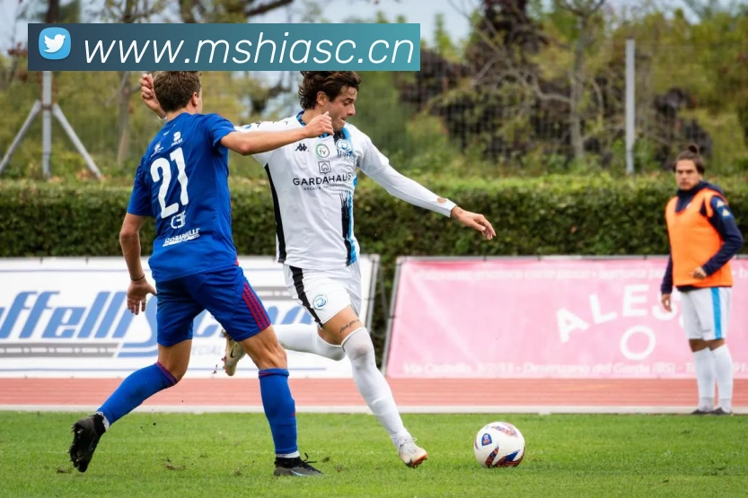 开云手机入口官网APP 高清赛事图